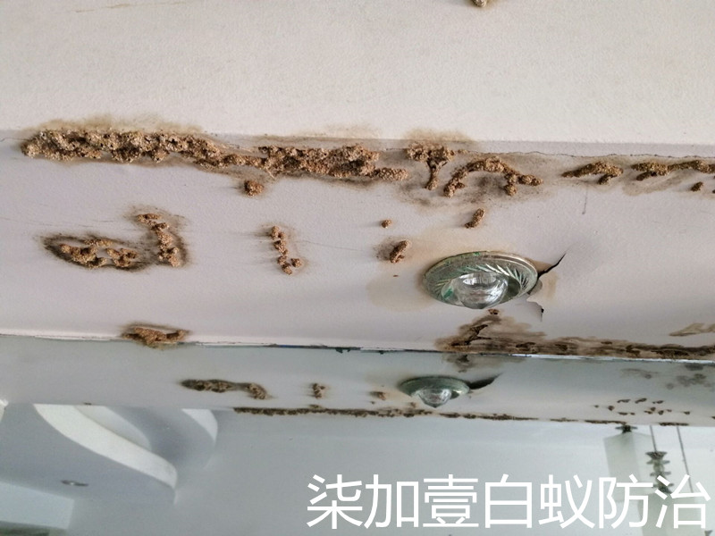QQDƬ20190626233156.jpg
