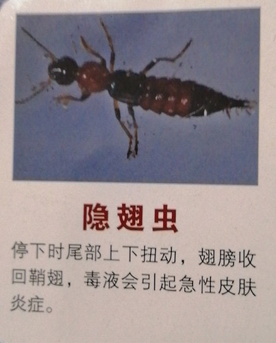 QQDƬ20190403220817.jpg